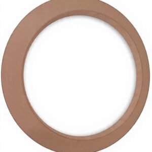 Dust seal ring